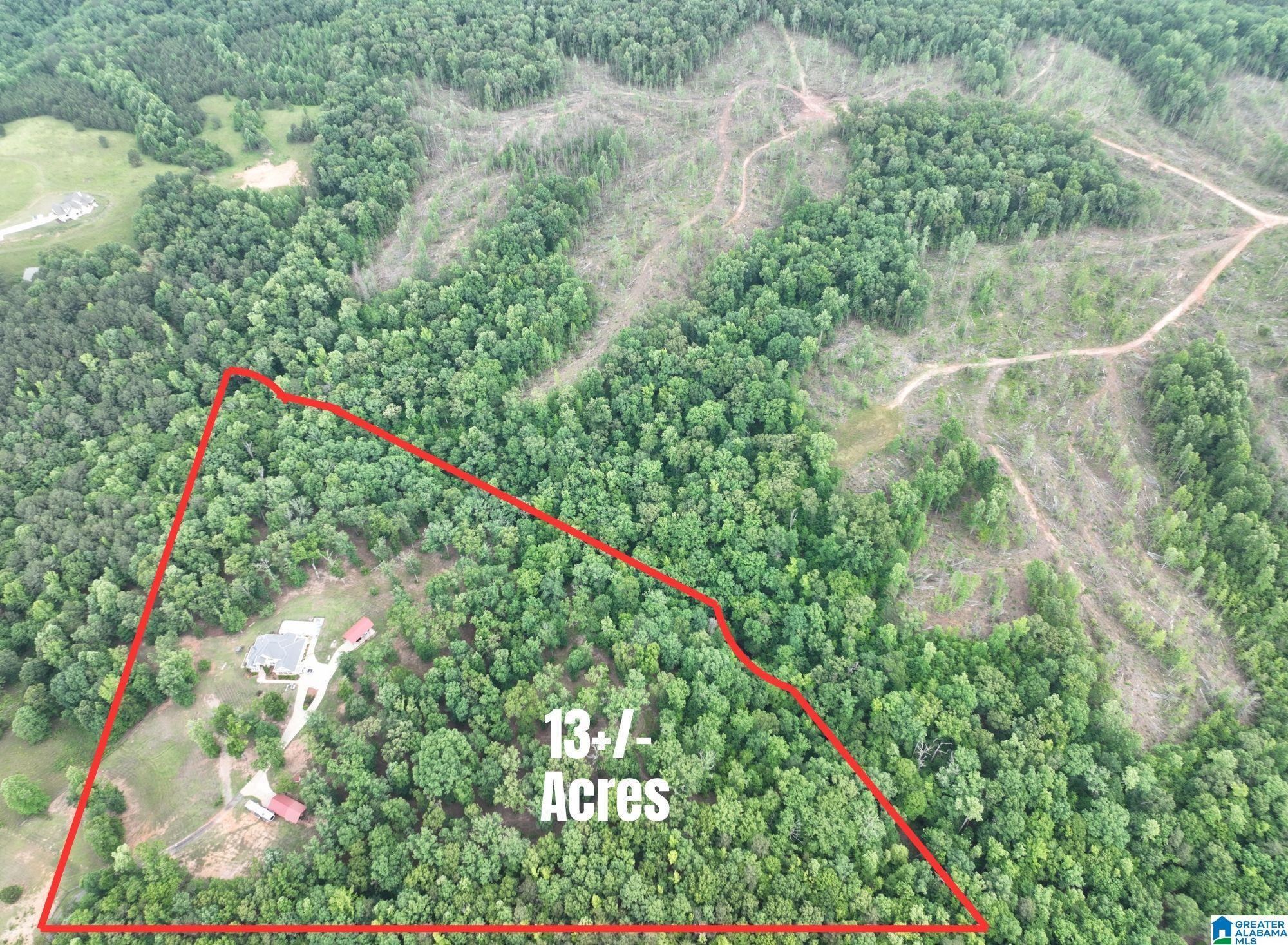 Image 4: Drone View with Lines