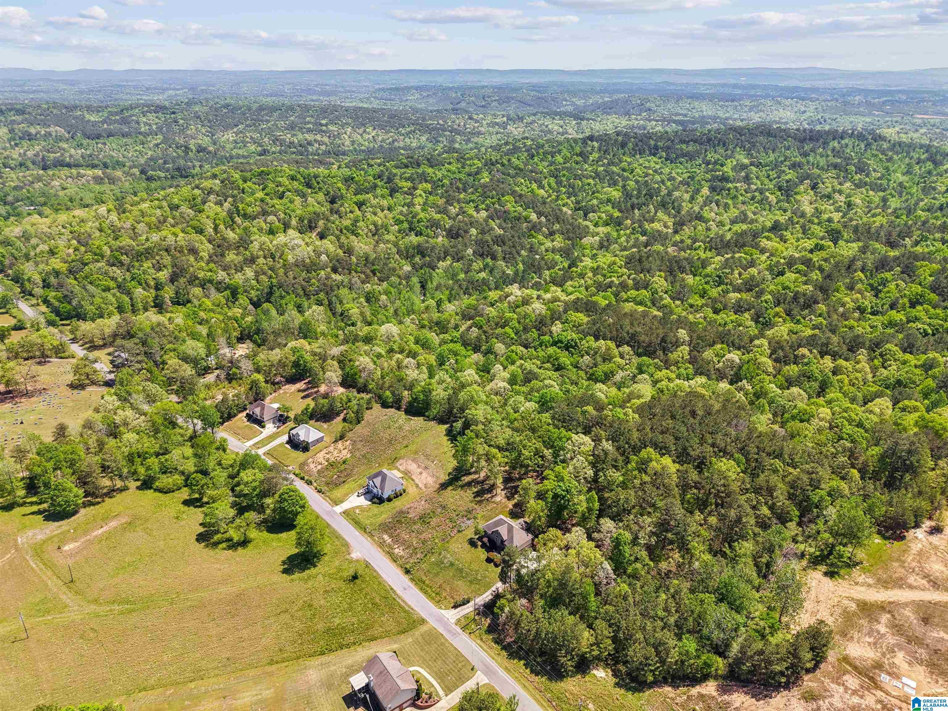 Image 4: Aerial View