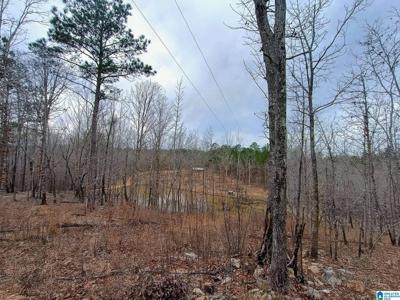 13233 AL HIGHWAY 9