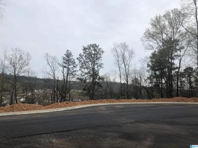Lot One Parcel EAGLE POINT DRIVE
