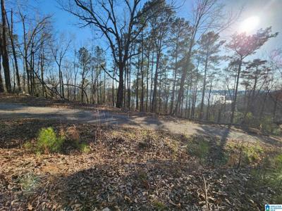 Lot 349 CANYON DRIVE
