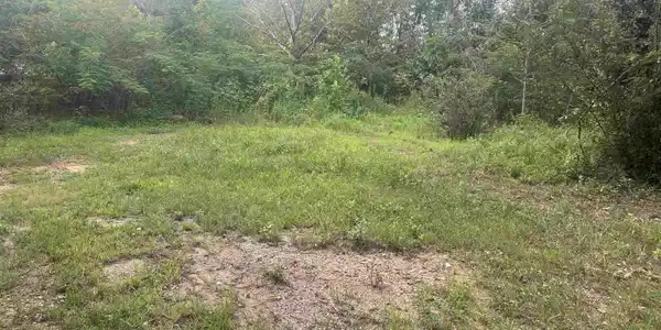 Image 3: OPEN FIELD