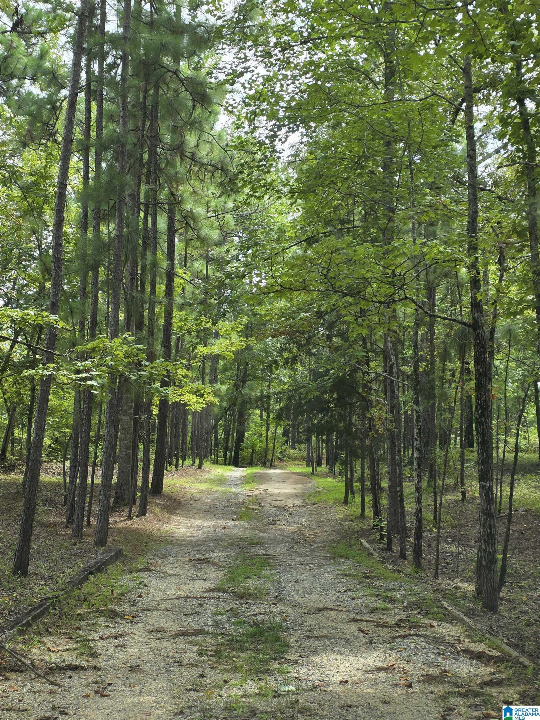 Image 1: beautiful driveway