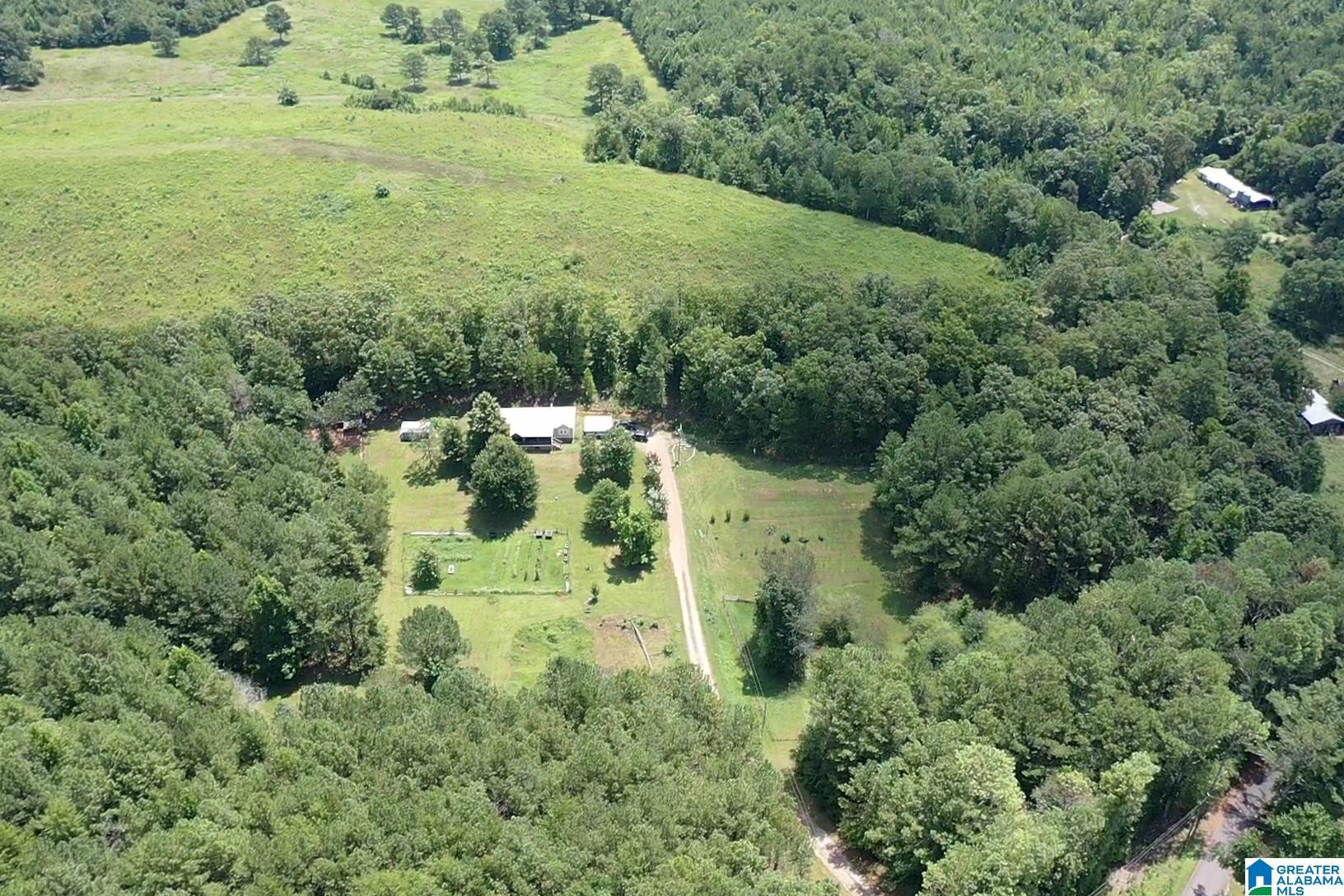 Image 3: Aerial View