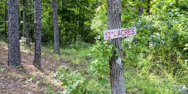 8532 SHADY TRAIL