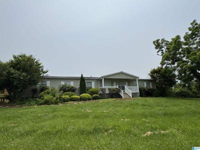 810 RIDDLE FARM ROAD