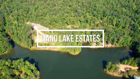 LOT 1 RIDGELINE DRIVE