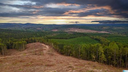 86 +/- Acres COUNTY ROAD 418