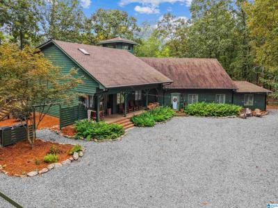 6460 TRUSSVILLE CLAY ROAD