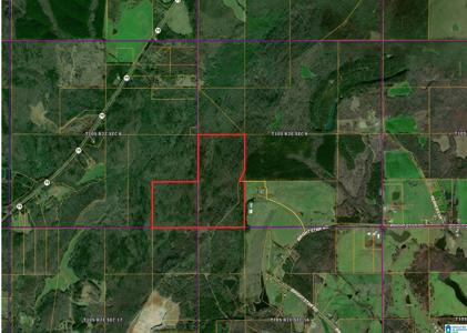 Lot 123+/- Acres BRIGHT STAR ROAD