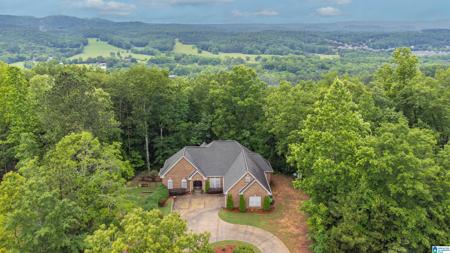 121 MIDDLE RIDGE TRAIL