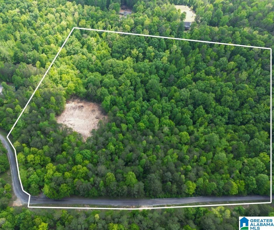 Image 0: Lines are approximate