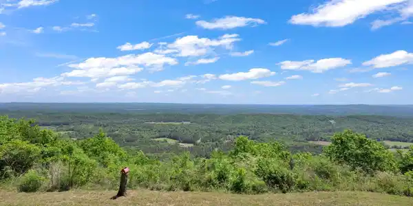 Image 2: View