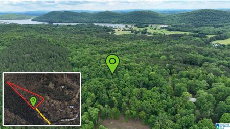 COLVIN SPRINGS ROAD