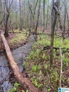 1244 COUNTY ROAD 804