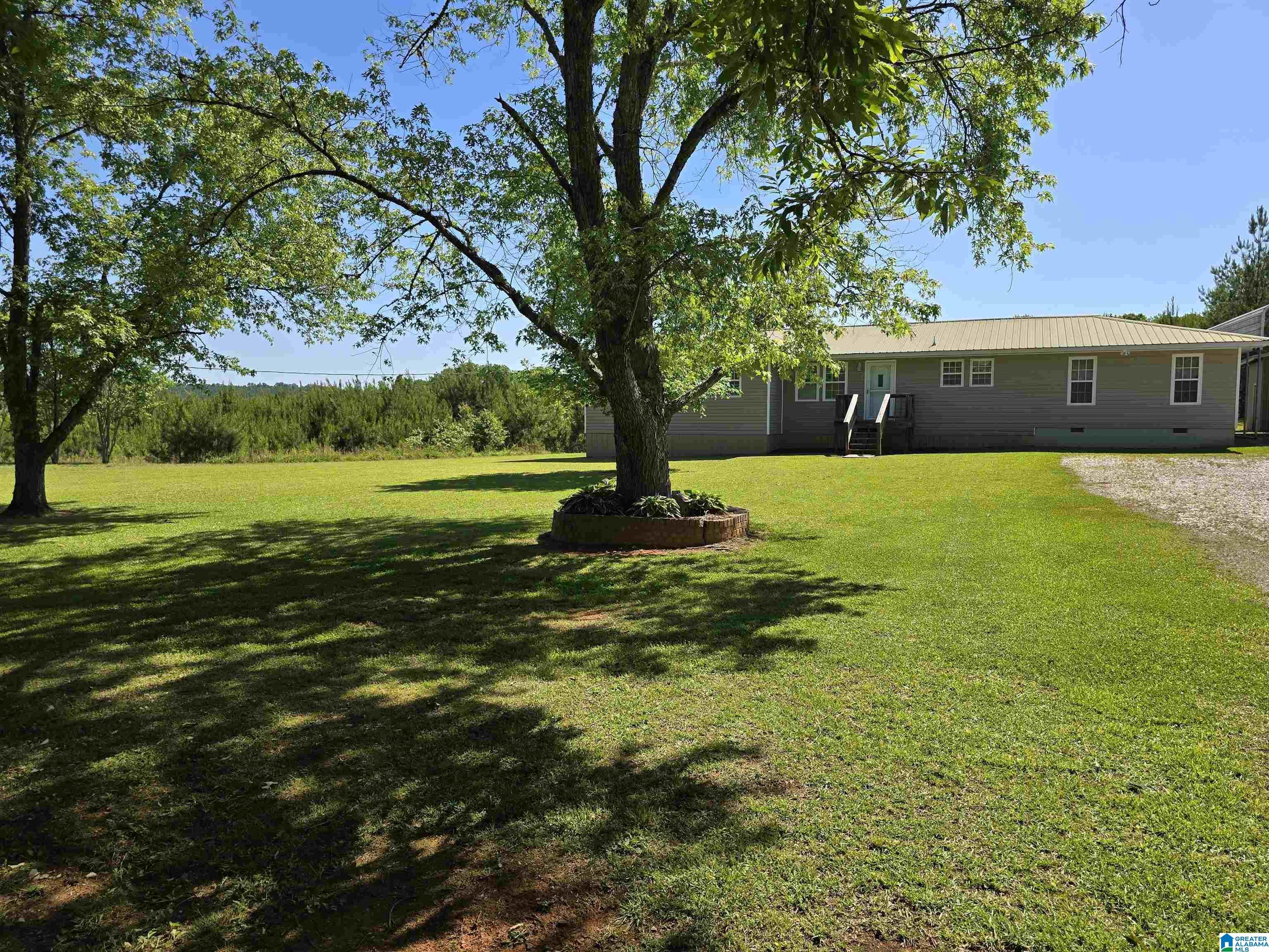 Image 3: Yard