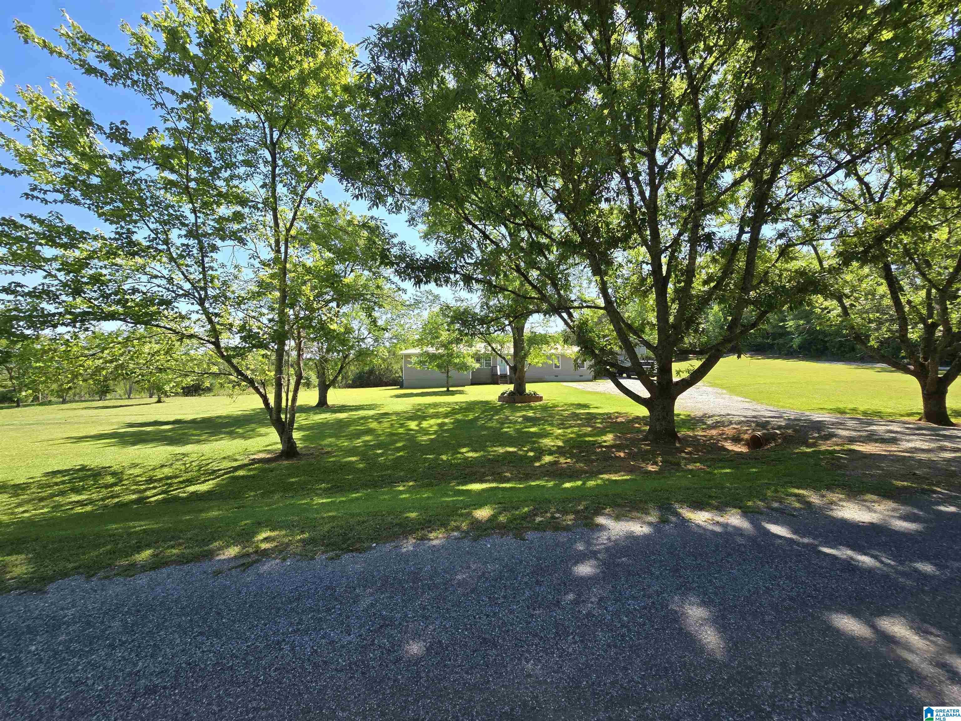Image 4: Yard
