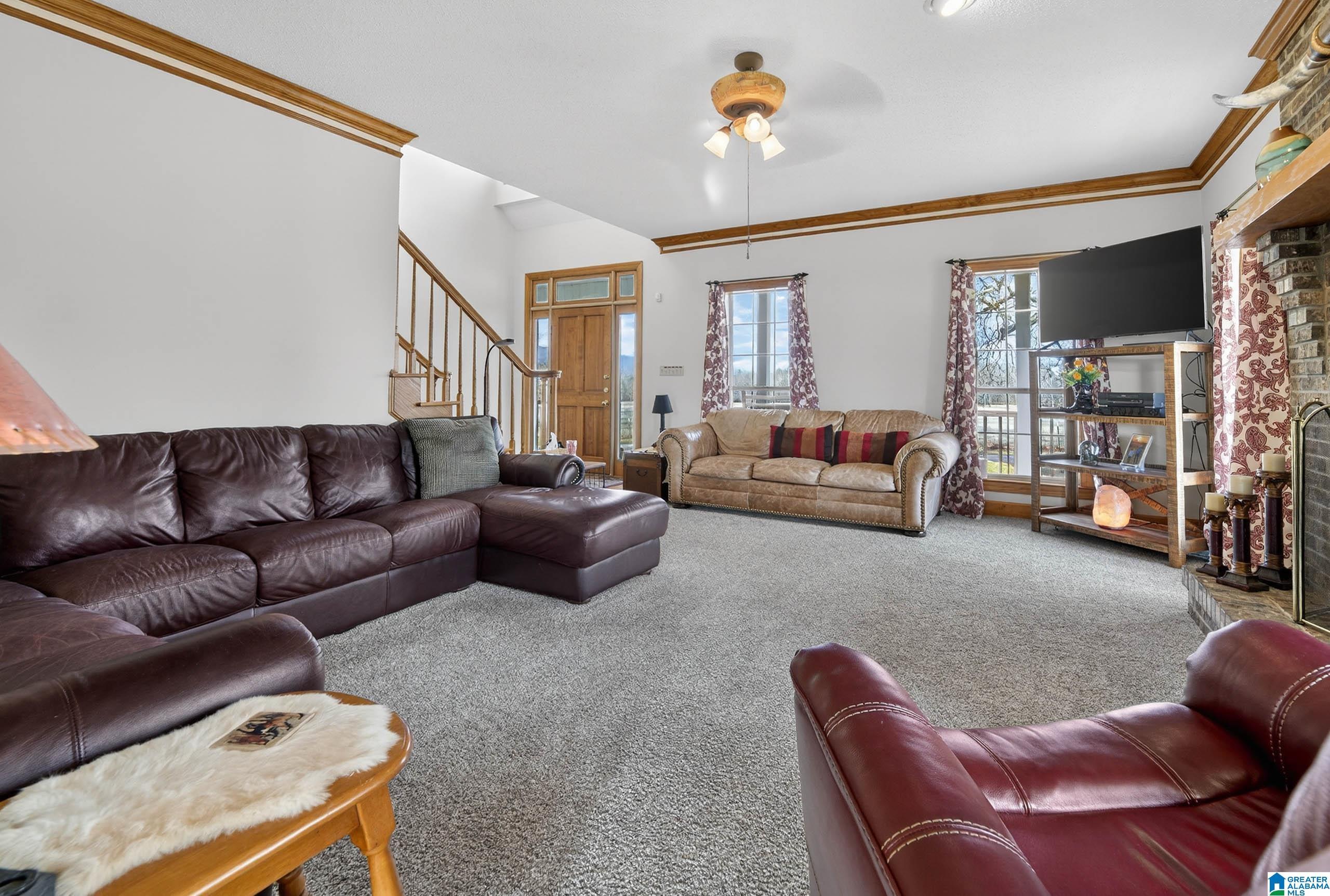 Image 4: Living Room