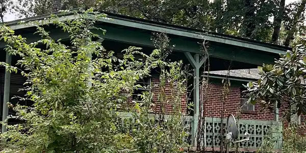 Image 3: Yard