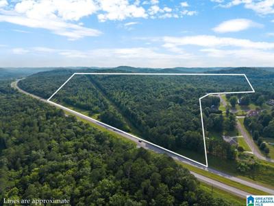 Lot #1 HIGHWAY 75