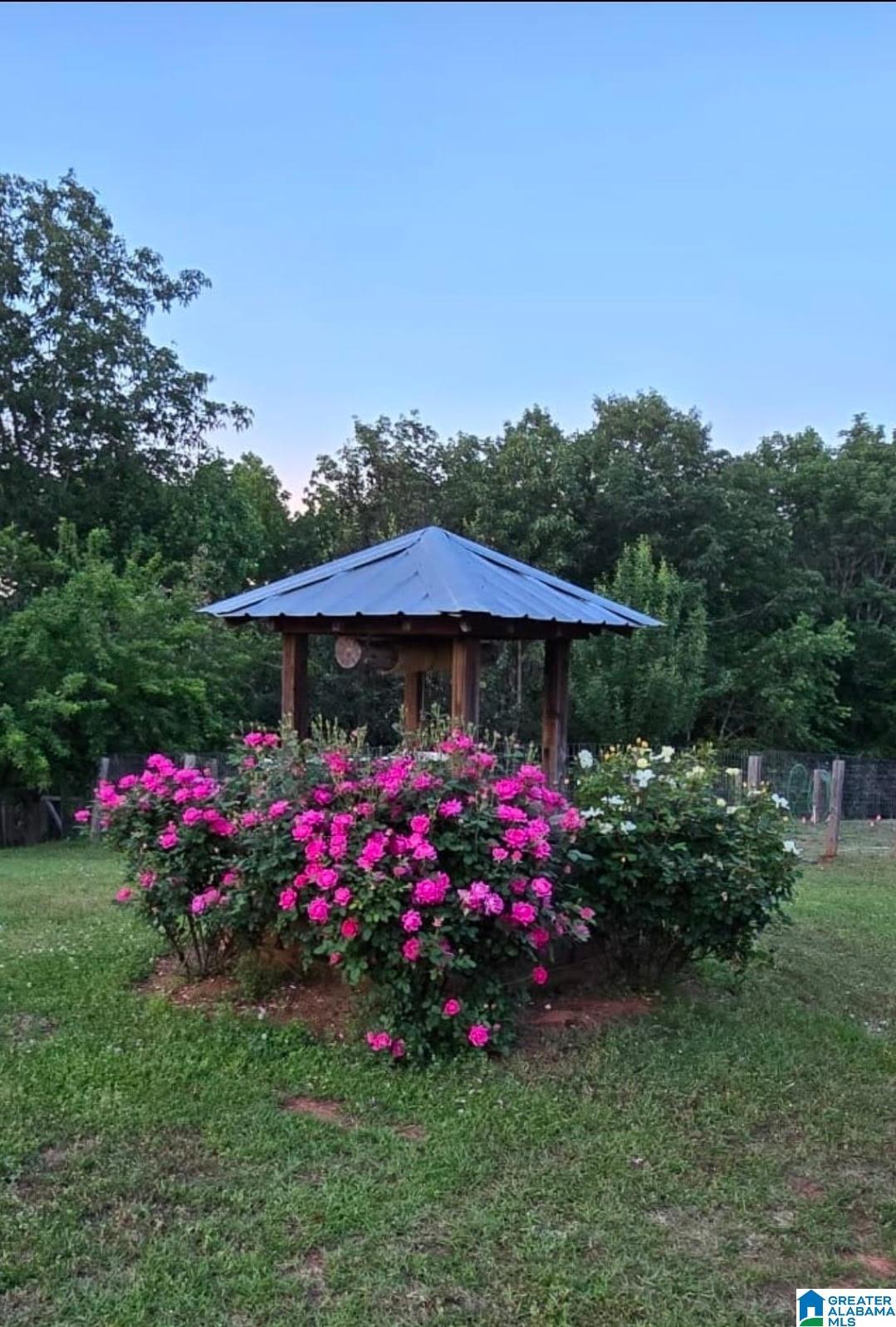 Image 3: Community