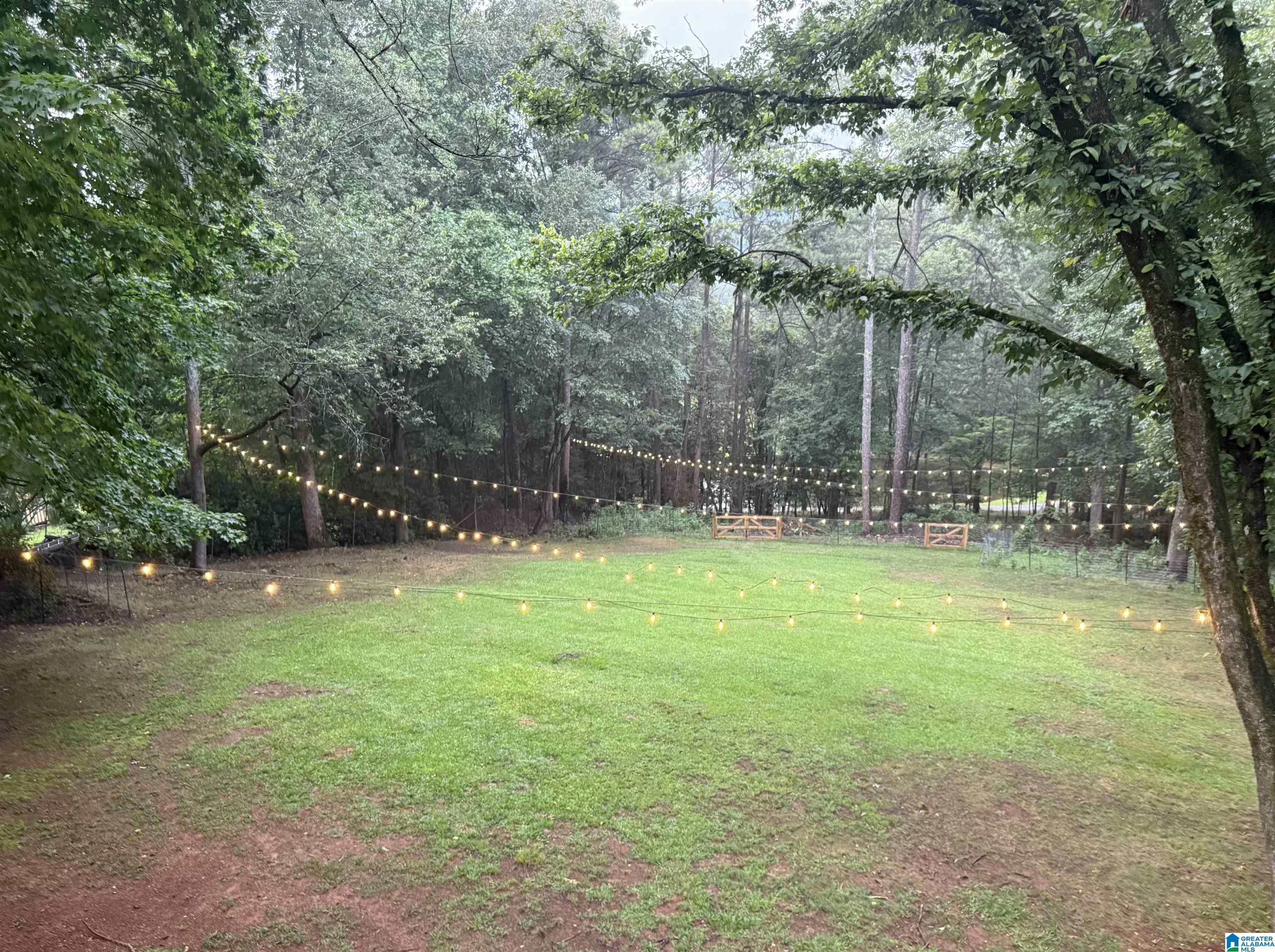 Image 4: Yard