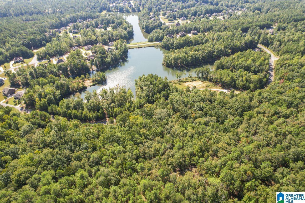 Image 2: LOOKING TOWARD DAMN FROM LOT 3