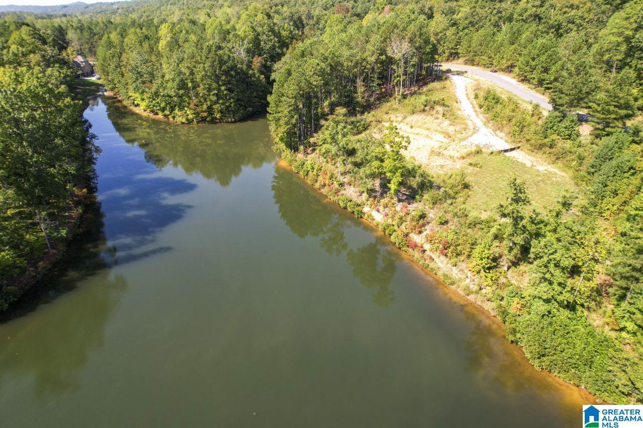Image 3: VIEW OF THE BEST FISHING SPOT ON THIS 9 ACRE LAKE