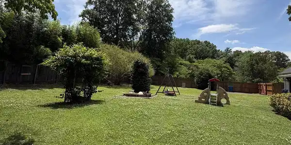 Image 4: Yard