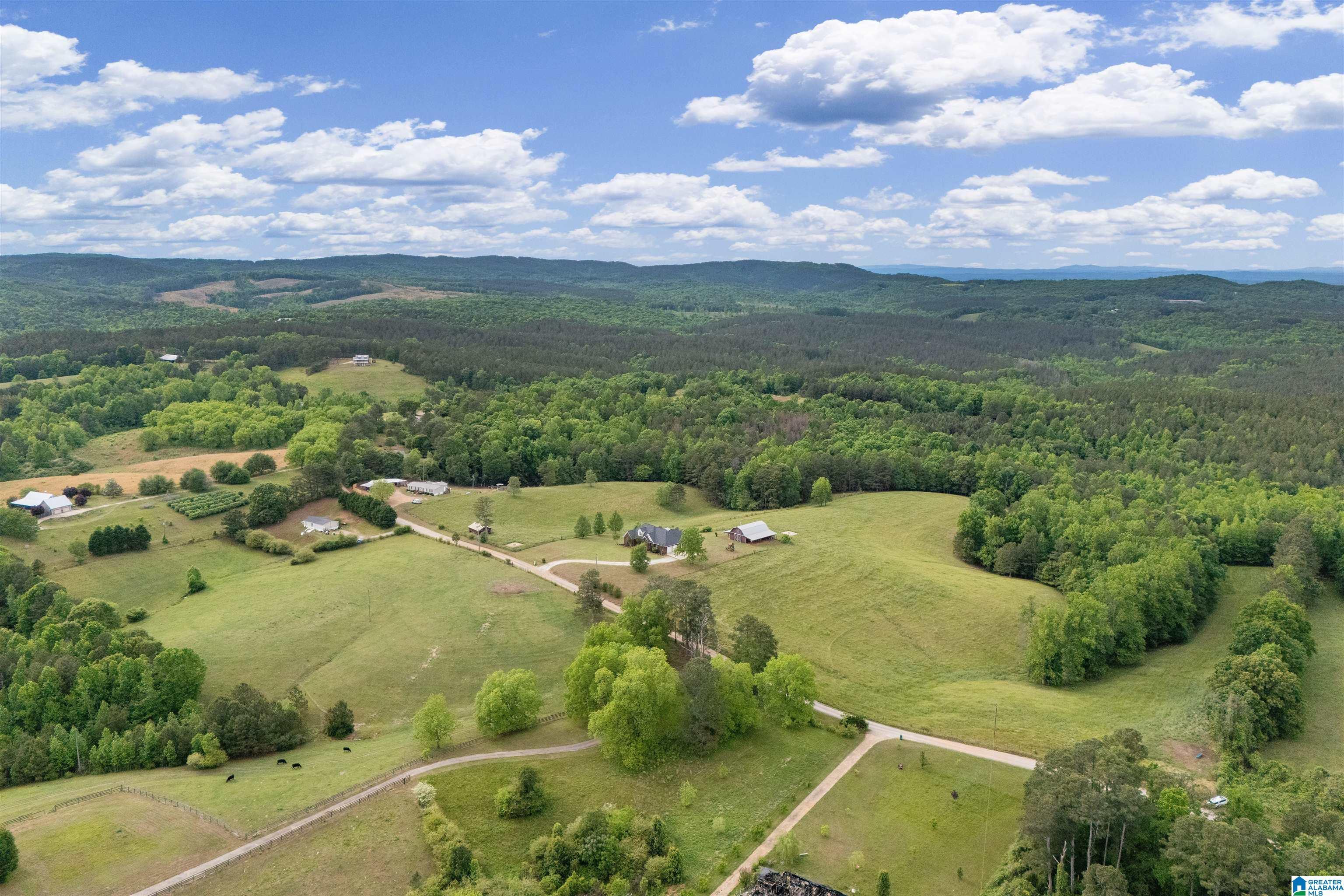 Image 4: Aerial View