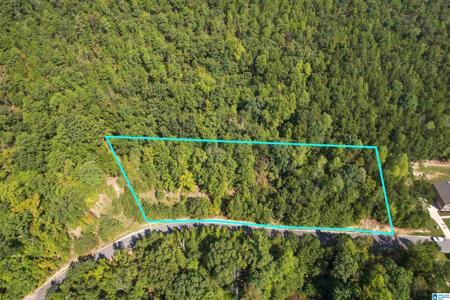 #3A DEER RIDGE DRIVE