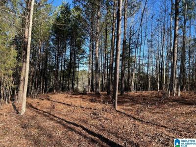 4.15 acres N HAGLER ROAD
