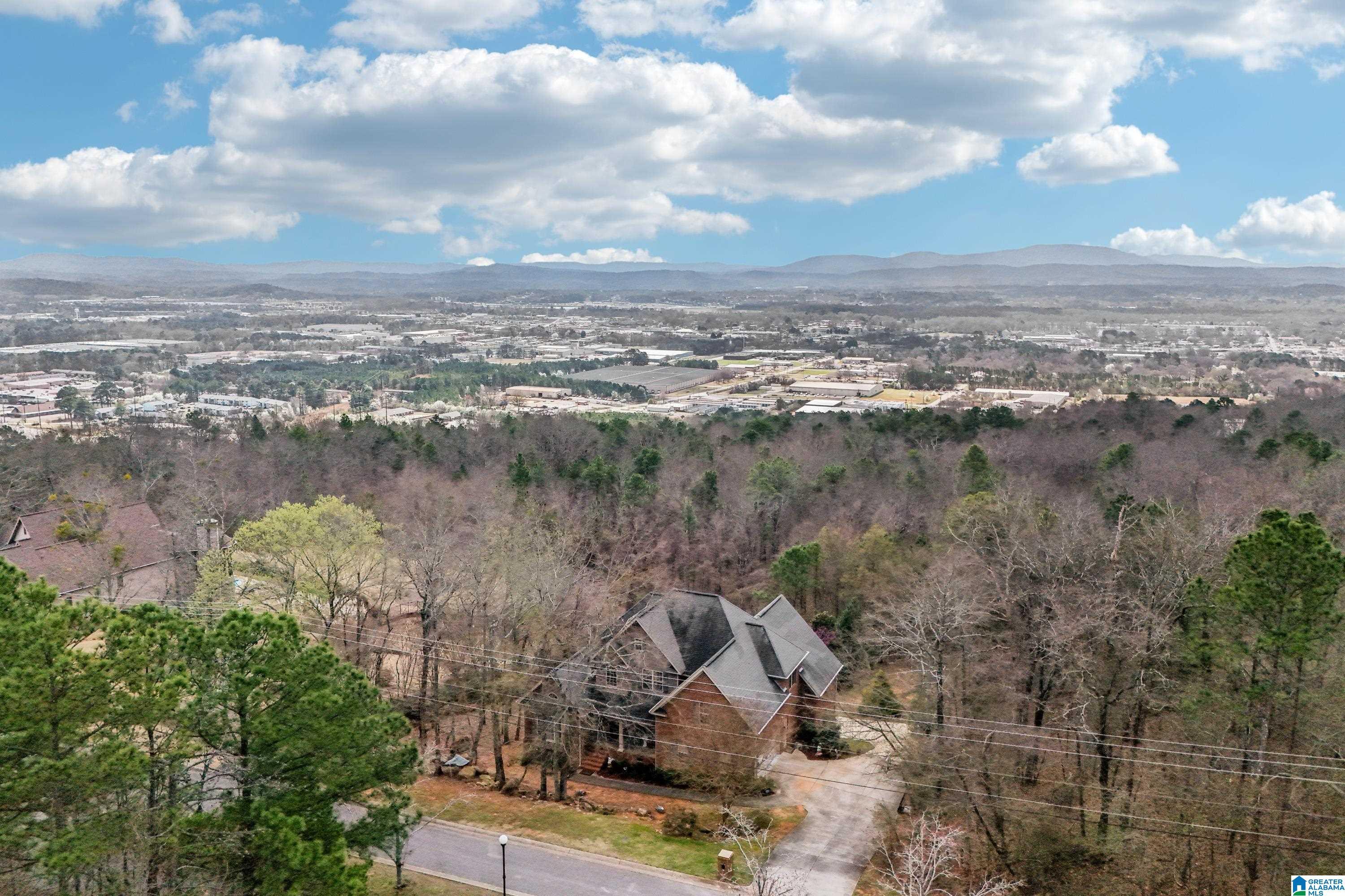 Image 4: Aerial View