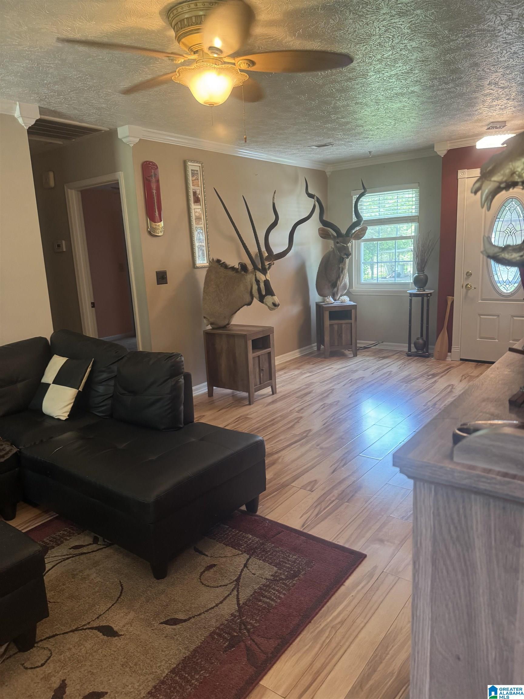 Image 3: Living Room