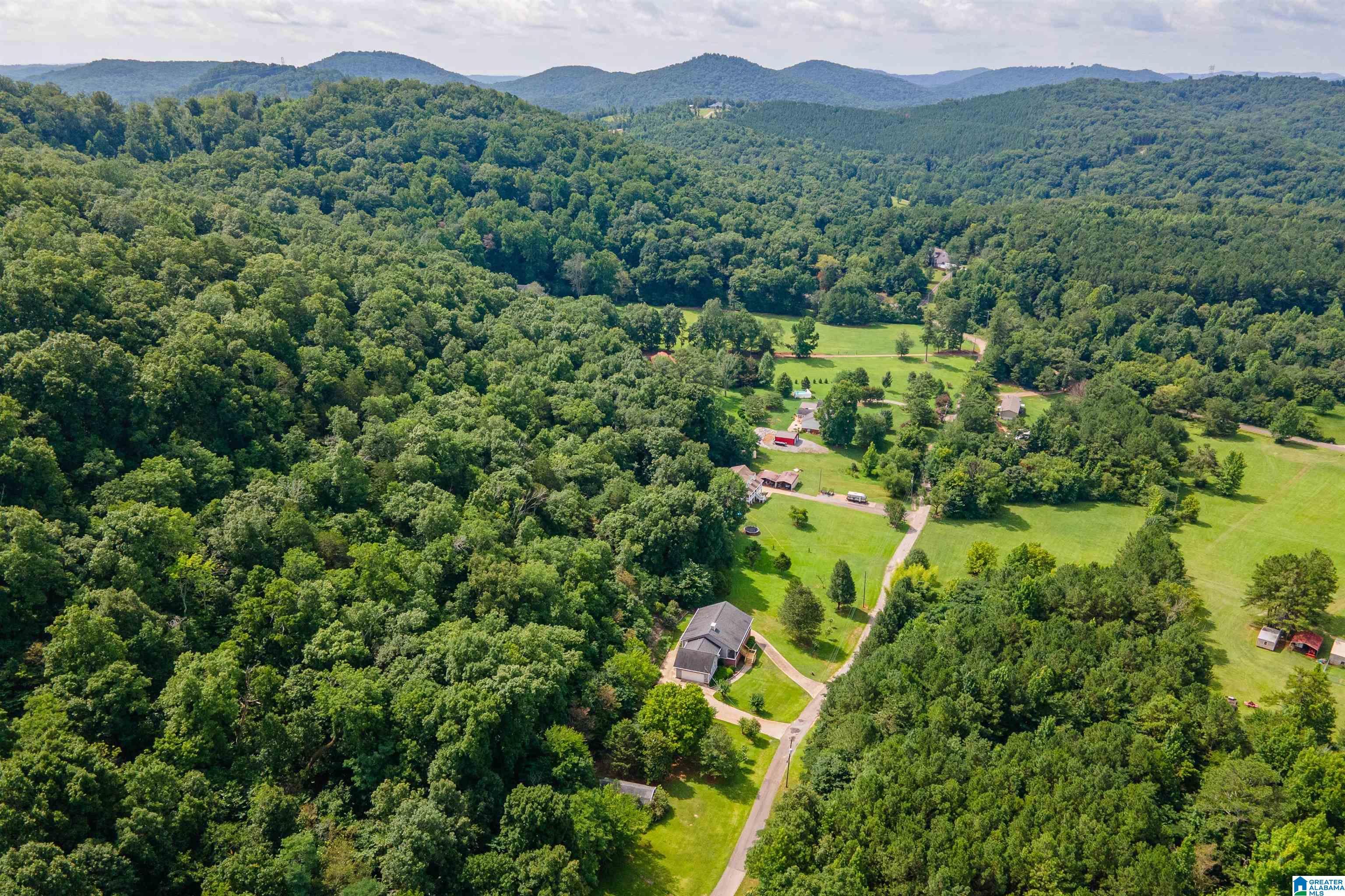 Image 2: Aerial View
