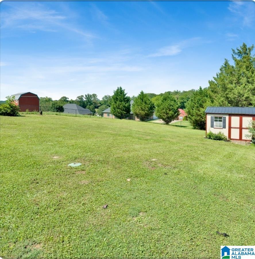 Image 4: Yard