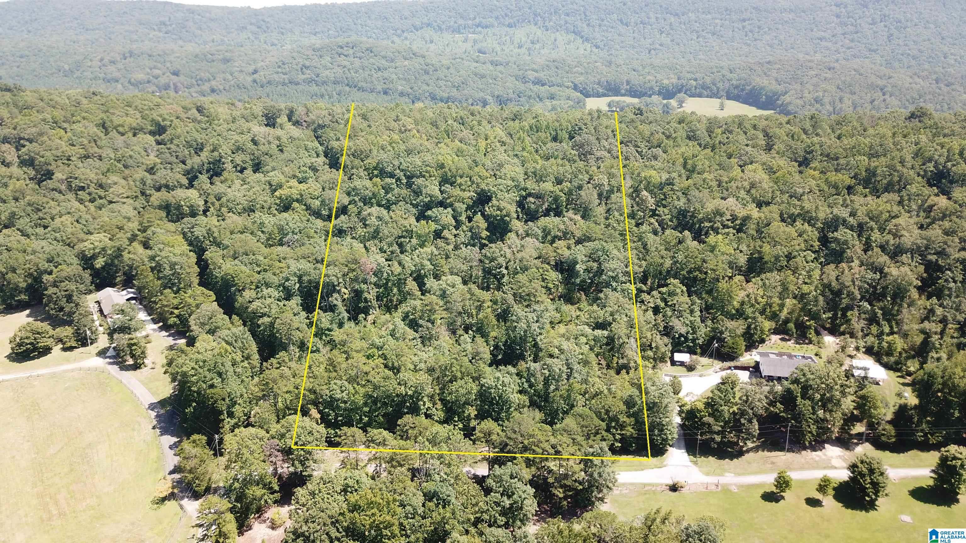 Image 1: 10.2 Acres of wooded land / Great location