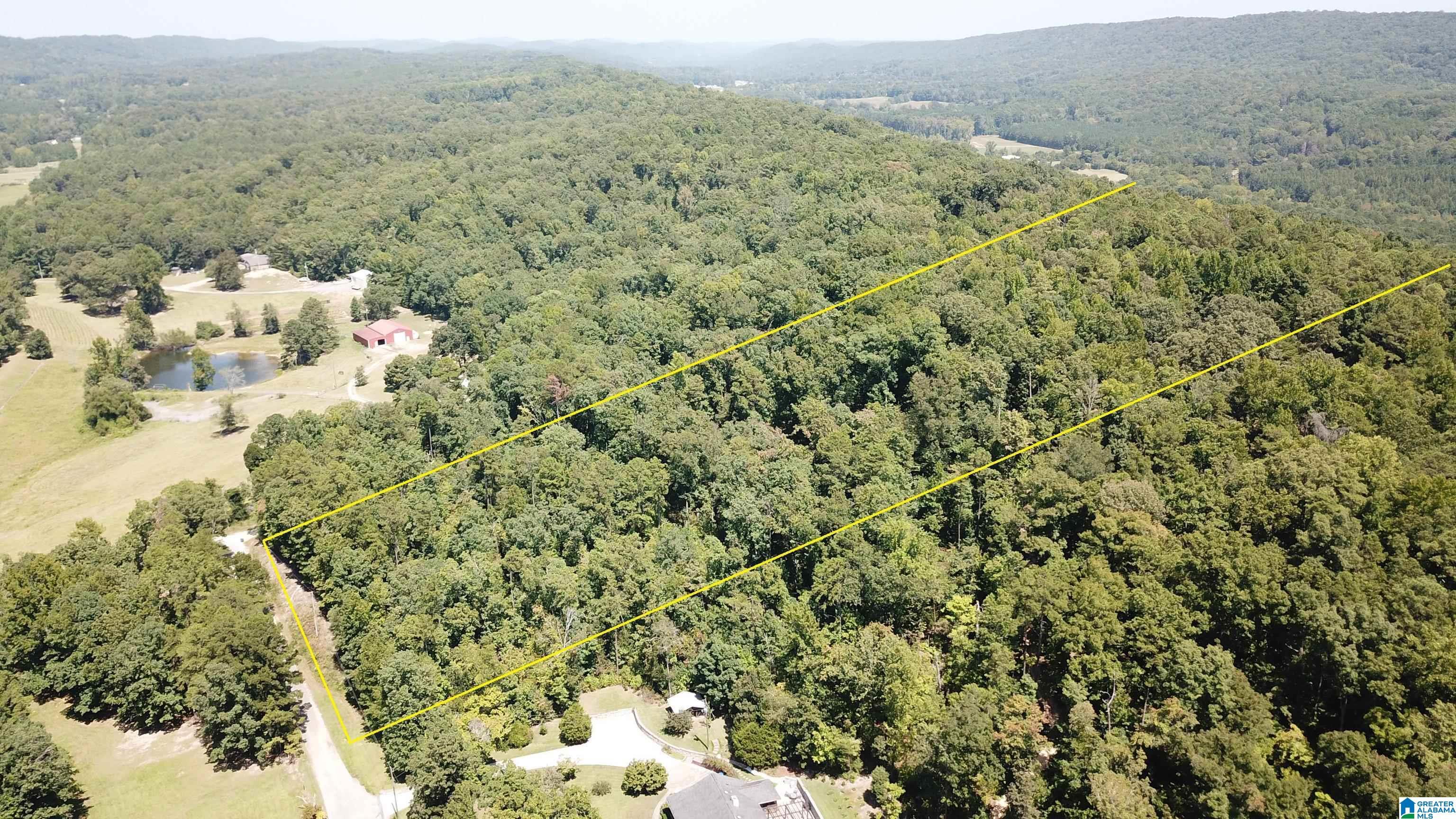 Image 3: 10.2 WOODED ACRES IN REMLAP AL
