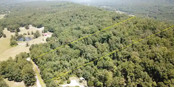 Image 3: 10.2 WOODED ACRES IN REMLAP AL