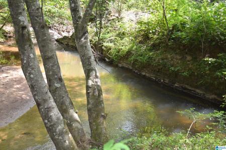 0 COUNTY ROAD 269