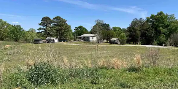 Image 2: Yard
