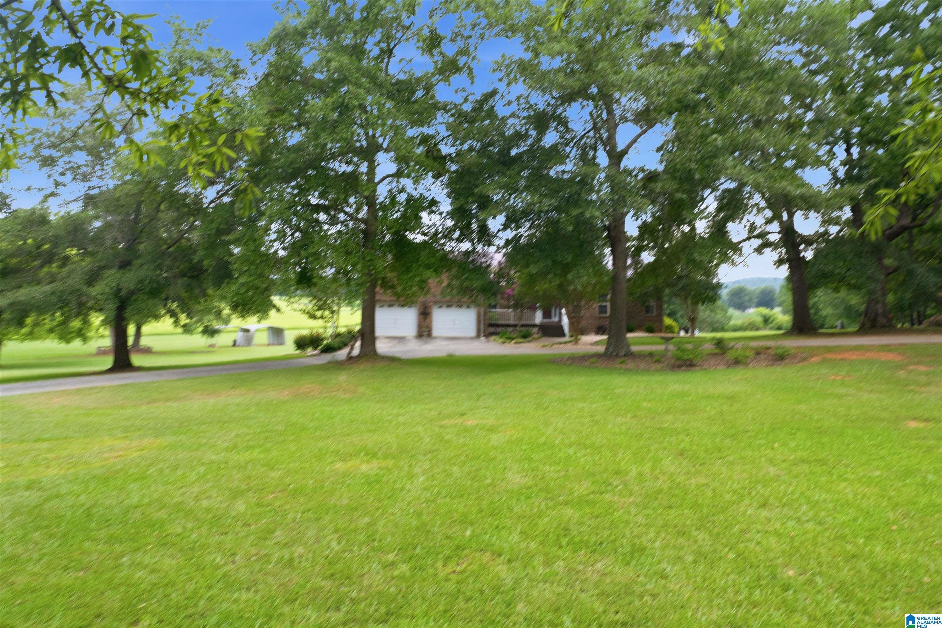 Image 4: 5 Beautiful Acres!