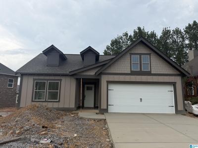 1000 CHELSEA PARK BEND