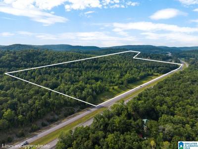 Lot #6 HIGHWAY 75