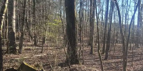 RENAEE CIRCLE