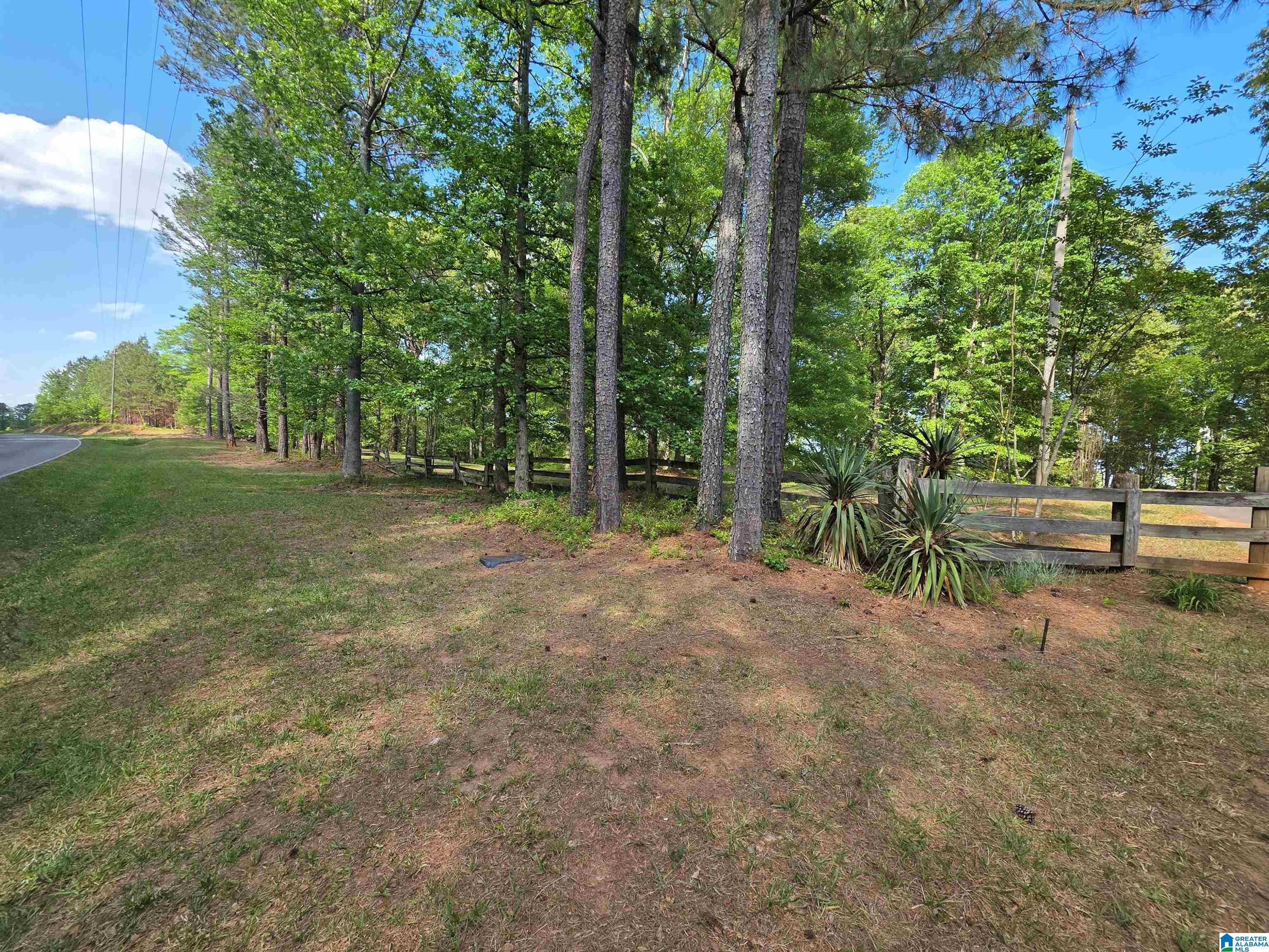 Image 3: Yard