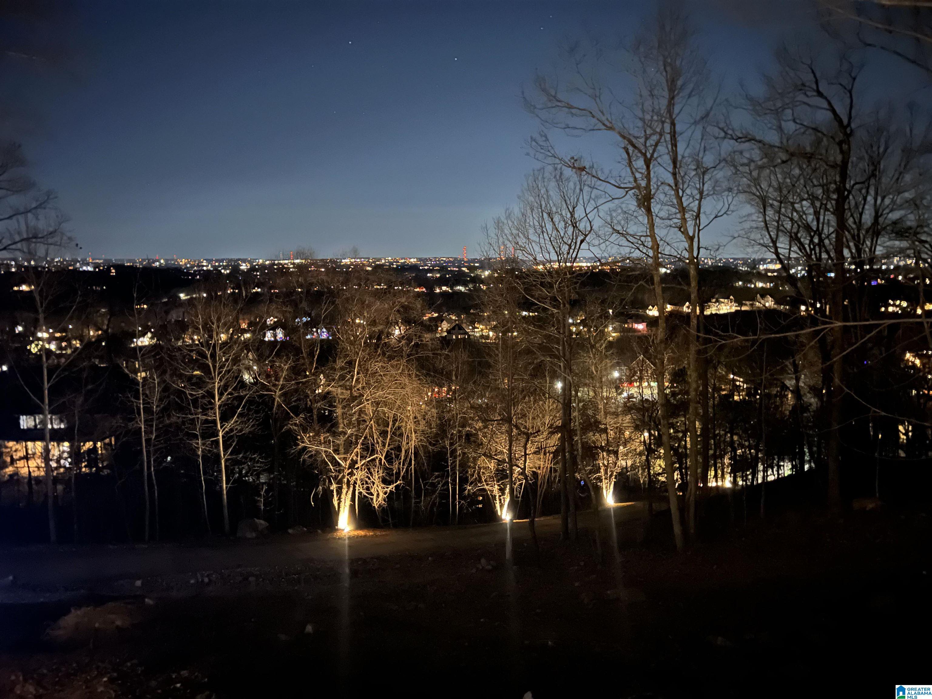 Image 3: Night view in winter months