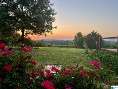 3953 LOGAN MARTIN DAM ROAD