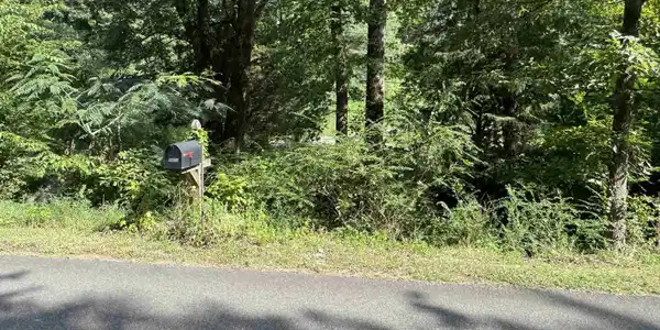 Image 4: 9.78 acres of wooded land with a creek and view