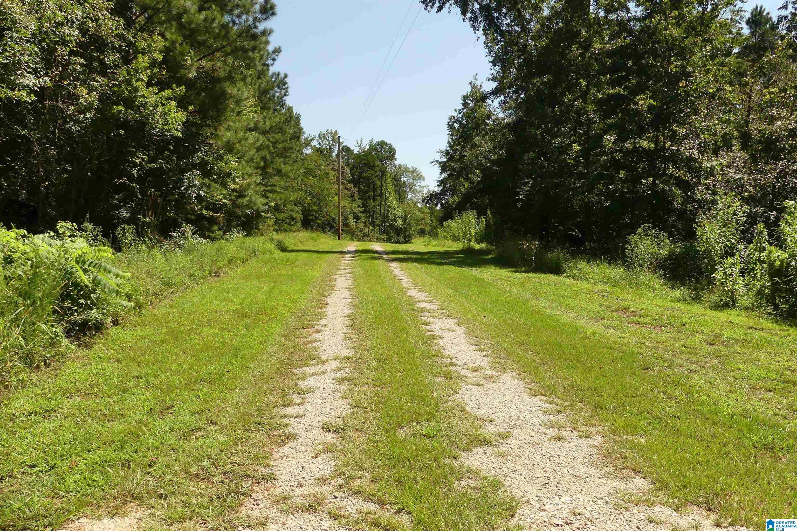 Image 3: GOOD INTERIOR ROAD TO LOT